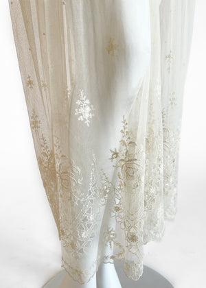 Vintage 1910s Mesh and Lace Dress