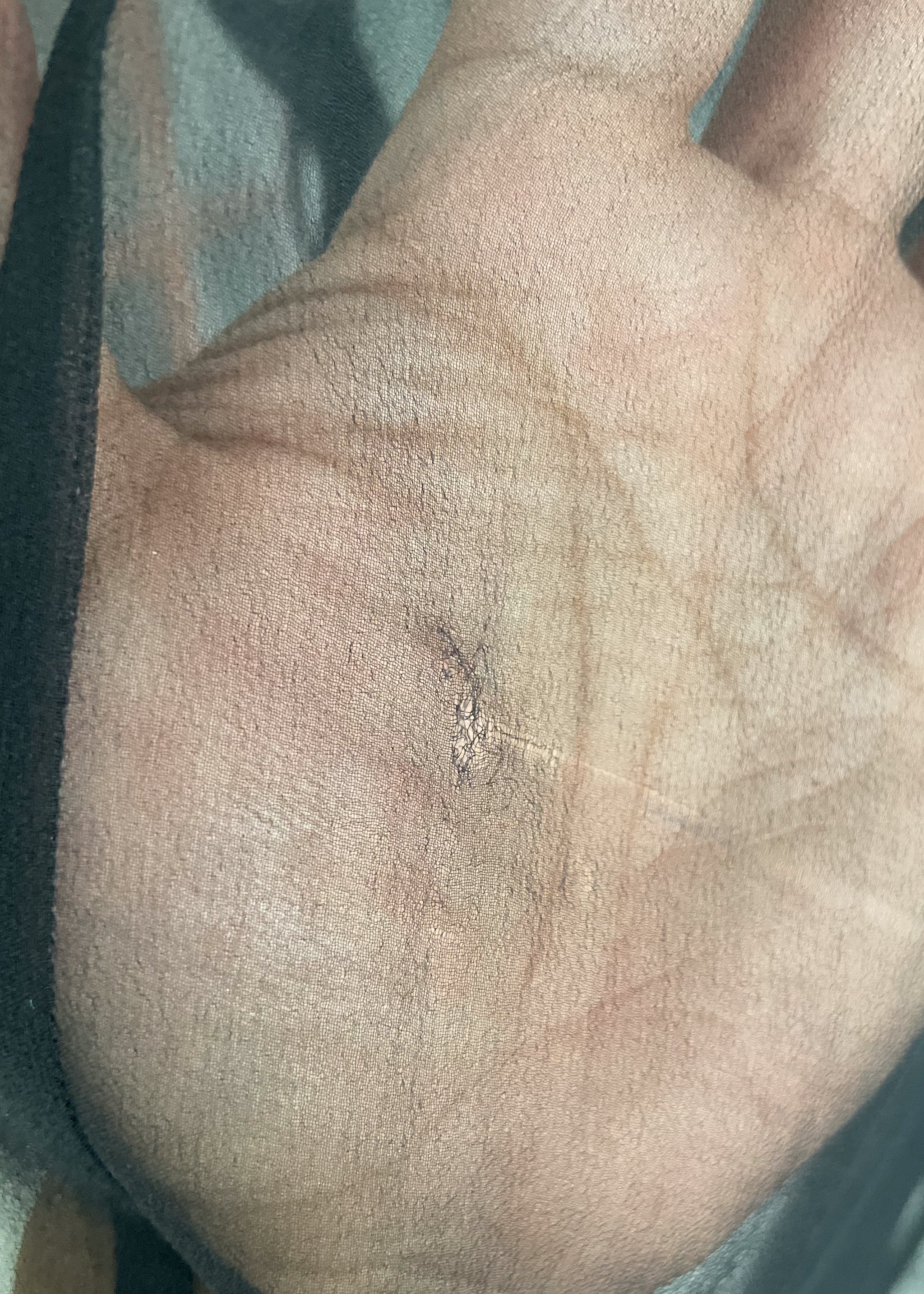 Vintage 1930s Sheer Silk Chiffon Dress