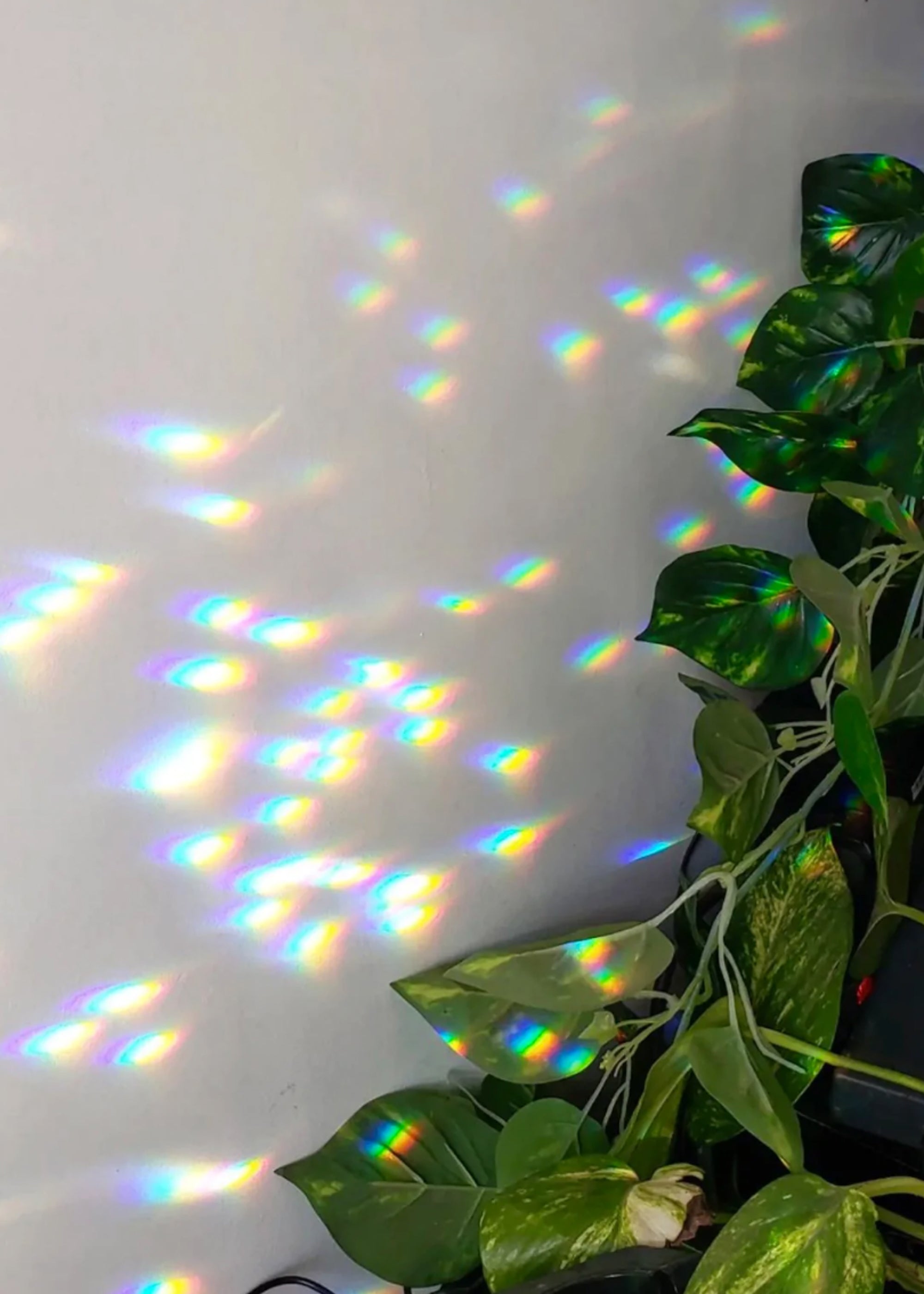 Golden Hour Sun Catcher